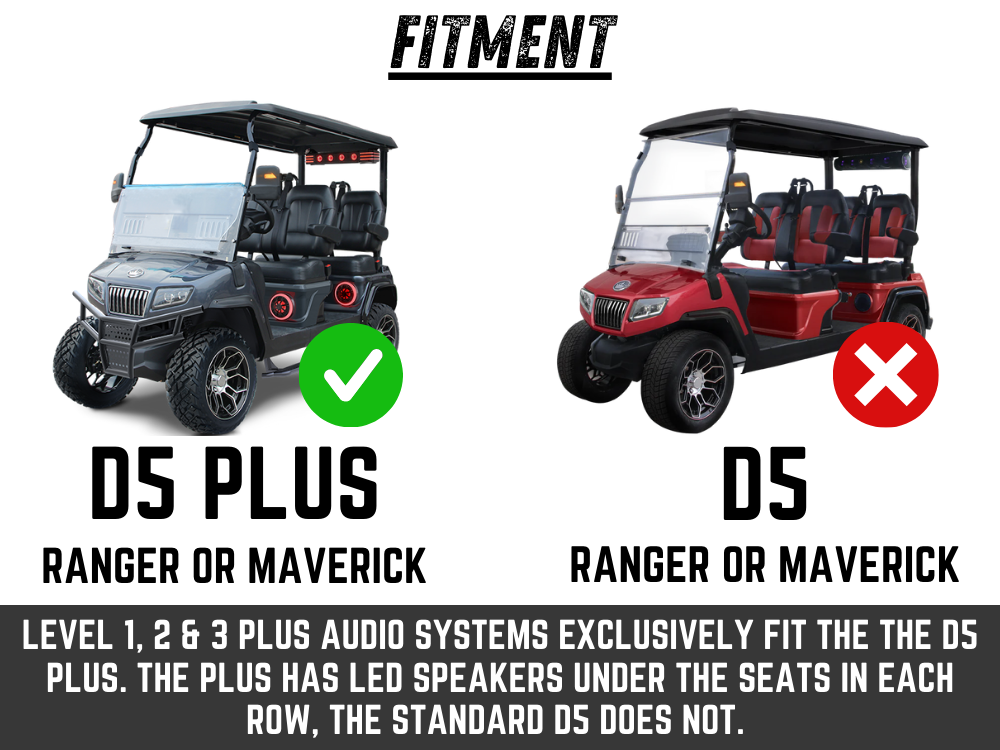 Level 1 - D5-Plus 2 Channel - Plug N Play Audio System