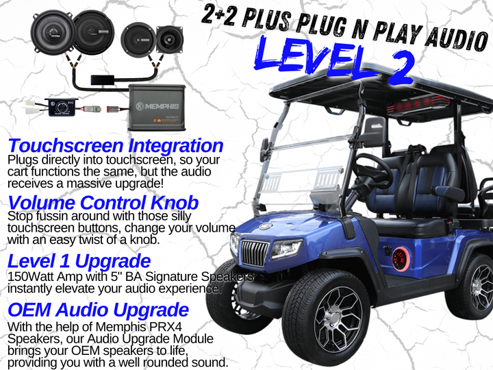 Level 2 - D5 2+2 Plus 4 Channel - Plug N Play Audio System